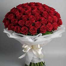 Букет 101 Красная роза Блэк Мэджик в Северка