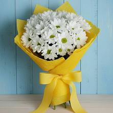 Букет цветов из:  Хризантемы #REPLACE_PRED# Северка