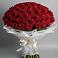 Букет 101 Красная роза Блэк Мэджик в Северка