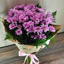 Букет цветов из:  Хризантемы #REPLACE_PRED# Северка