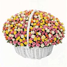 Премиум букет из: Розы #REPLACE_PRED# Северка