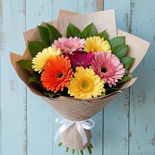 Букет цветов из:  Герберы #REPLACE_PRED# Северка