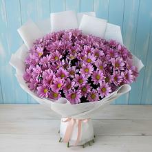 Букет цветов из:  Хризантемы в Северка
