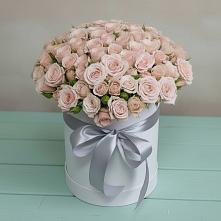 Цветочная композиция из Розы в шляпной коробке #REPLACE_PRED# Северка