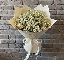Букет цветов из:  Ромашки в Северка
