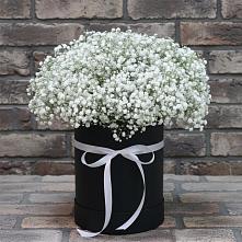 Цветочная композиция из Гипсофила в шляпной коробке в Северка