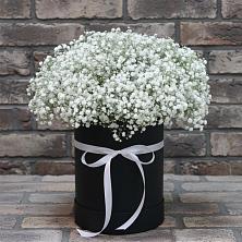 Цветочная композиция из Гипсофила в шляпной коробке в Северка