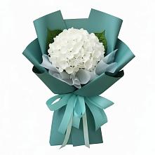 Букет цветов из:  Гортензия в Северка